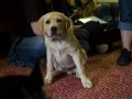 DSC_0146.jpg